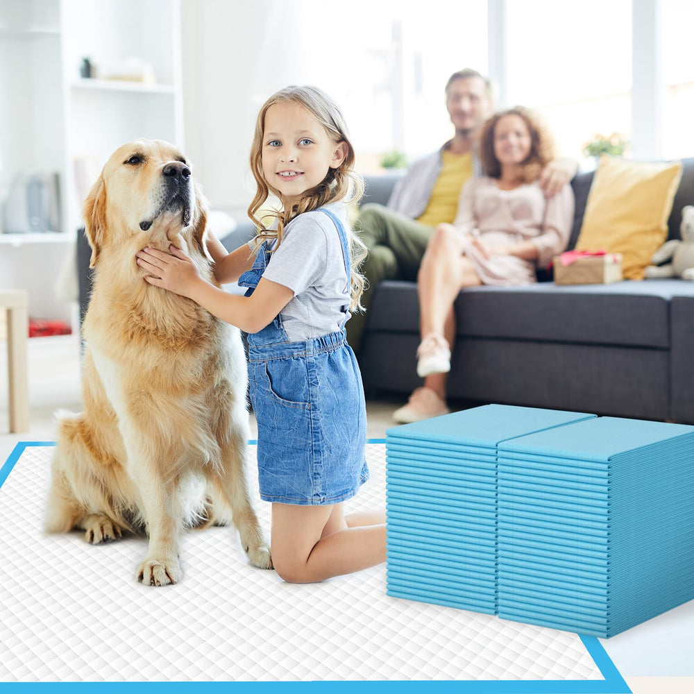 IMMCUTE pads support housebreaking with a stable, absorbent surface.