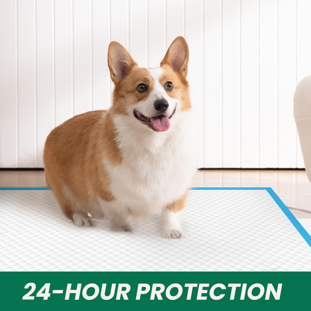 IMMCUTE pads enable quick cleanup and odor control between changes.