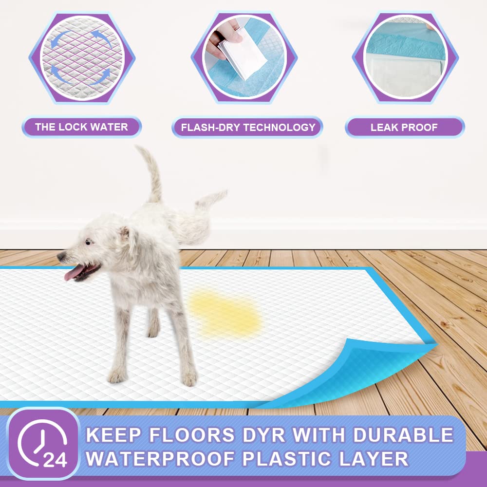 IMMCUTE 6-layer protection detail emphasizes durability and absorbency.