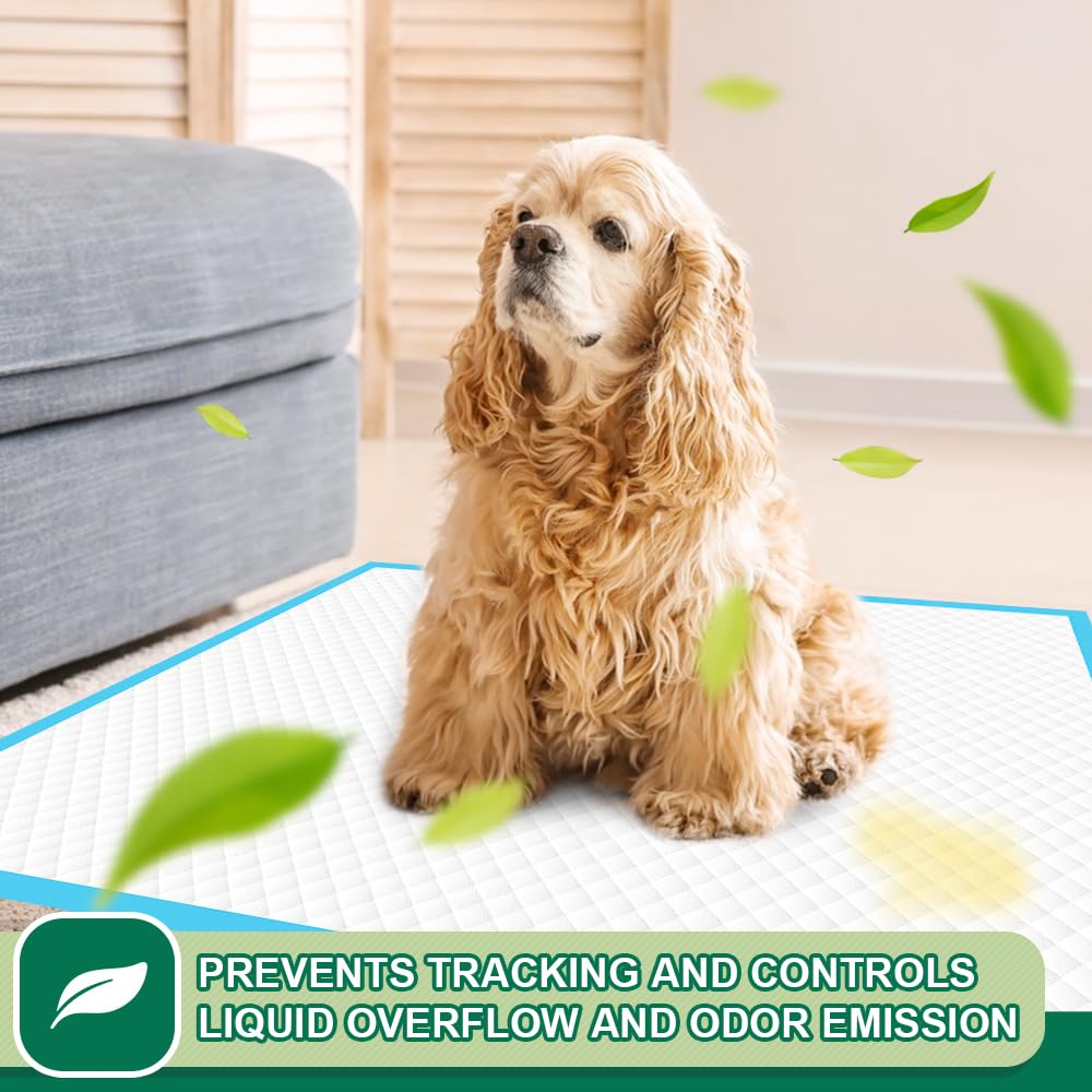 IMMCUTE indoor-outdoor-ready pads suited for home use and travel