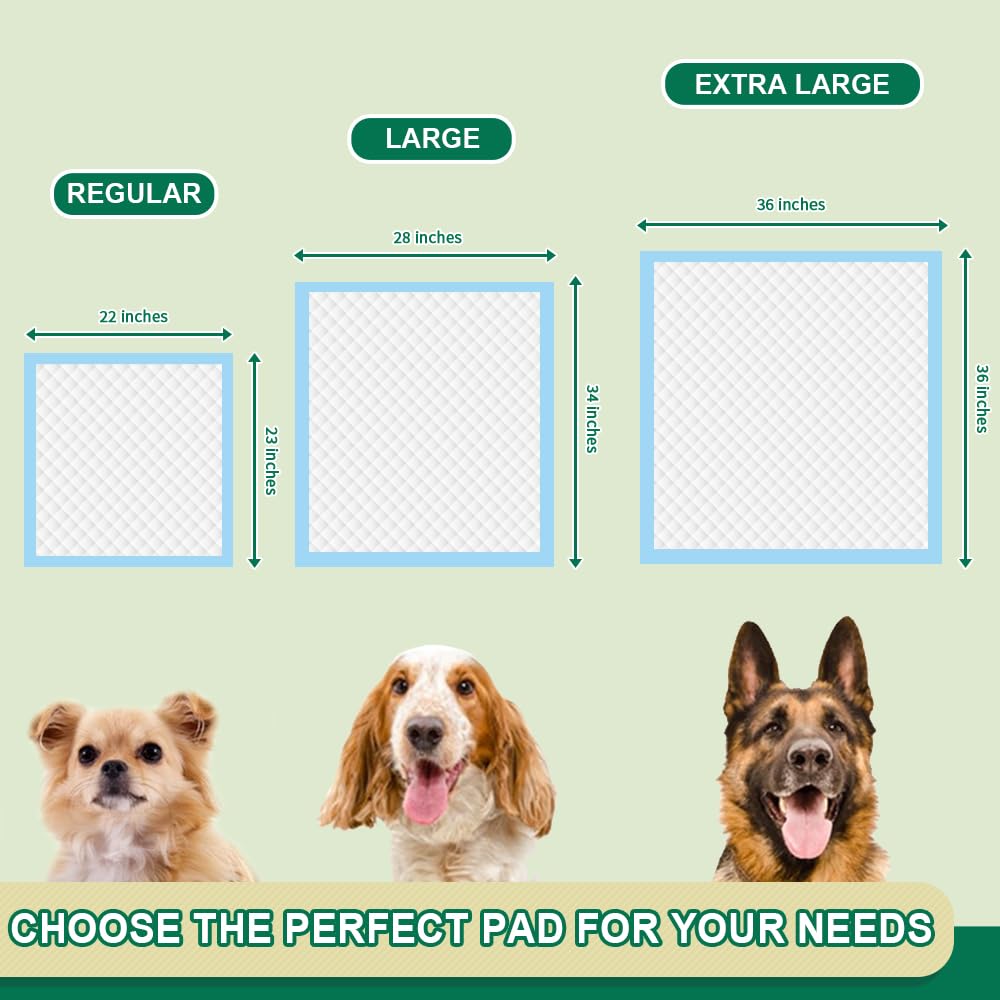 IMMCUTE all-day protection supports multi-pet households staying indoors longer