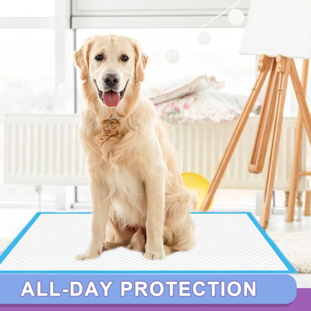 IMMCUTE disposable pads for dogs, cats, rabbits and more