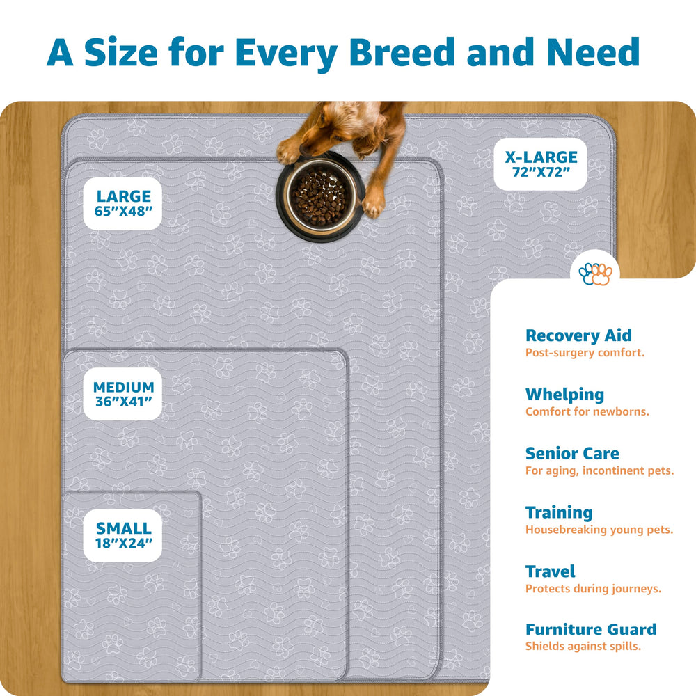 IMPROVIA indoor dog pad offers durable floor protection for training spaces
