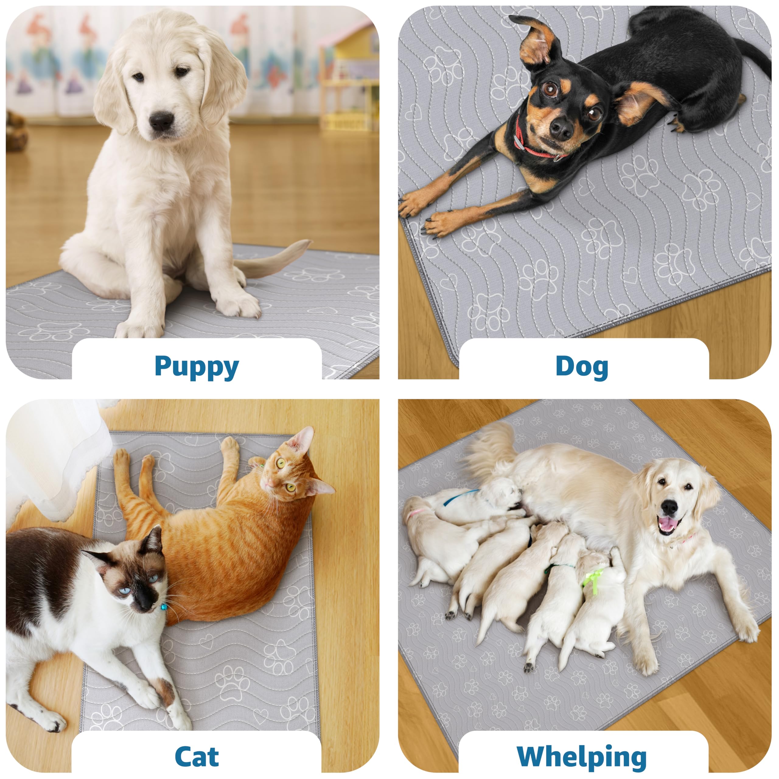 IMPROVIA non-slip dog mat emphasizes stable footing for active play