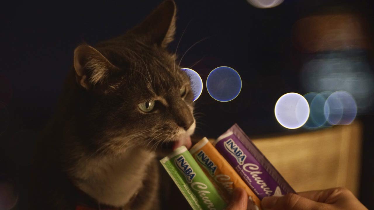 INABA Churu cat-treat topper on finger for interactive feeding