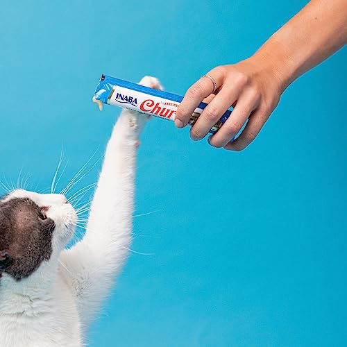 INABA Churu feral-cat friendly-use moment suggests calming treat use.