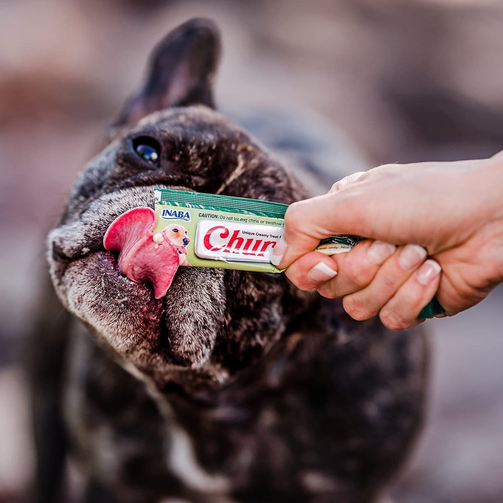 INABA Churu can be used as training treats or to hide medications