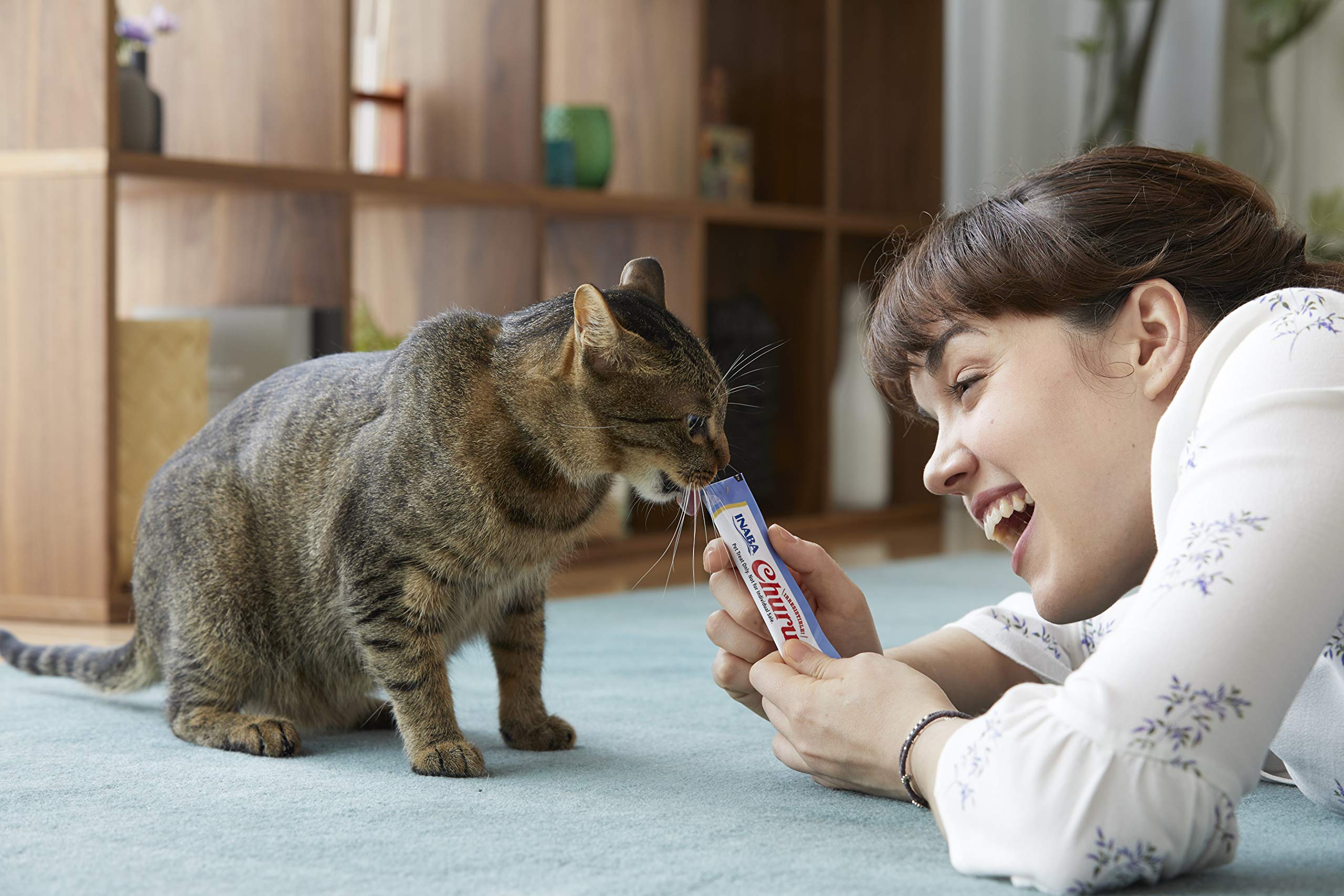 INABA Churu medication disguise tube aids gentle administration.