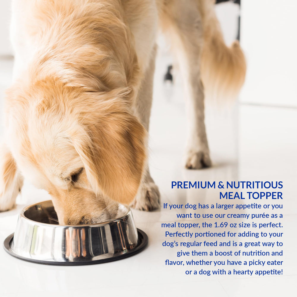 INABA Churu 85% moisture content supports hydration during snacks and walks