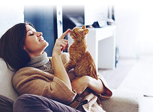 INABA Churu nineteen flavors display suggesting variety for cats