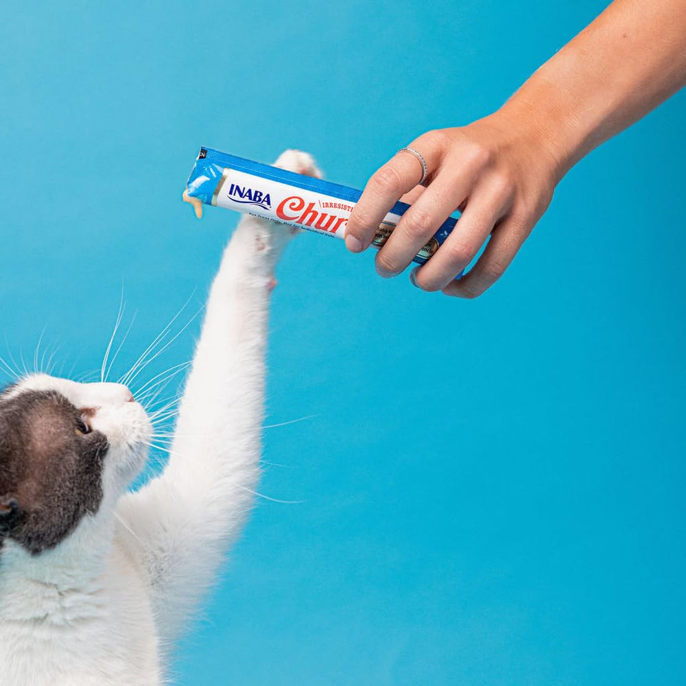 INABA Churu Tuna Medication Disguise demonstrates an easy way to administer meds
