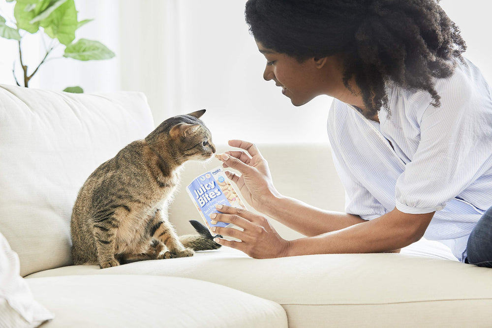 INABA Juicy Bites hand-feeding scene demonstrating interactive feeding with your cat