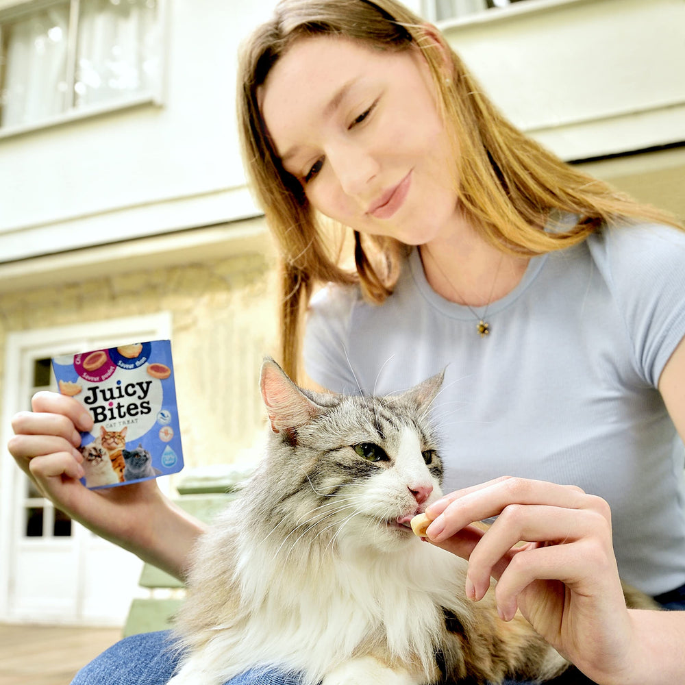 INABA Juicy Bites variety flavors shown for life stages from kitten to senior.