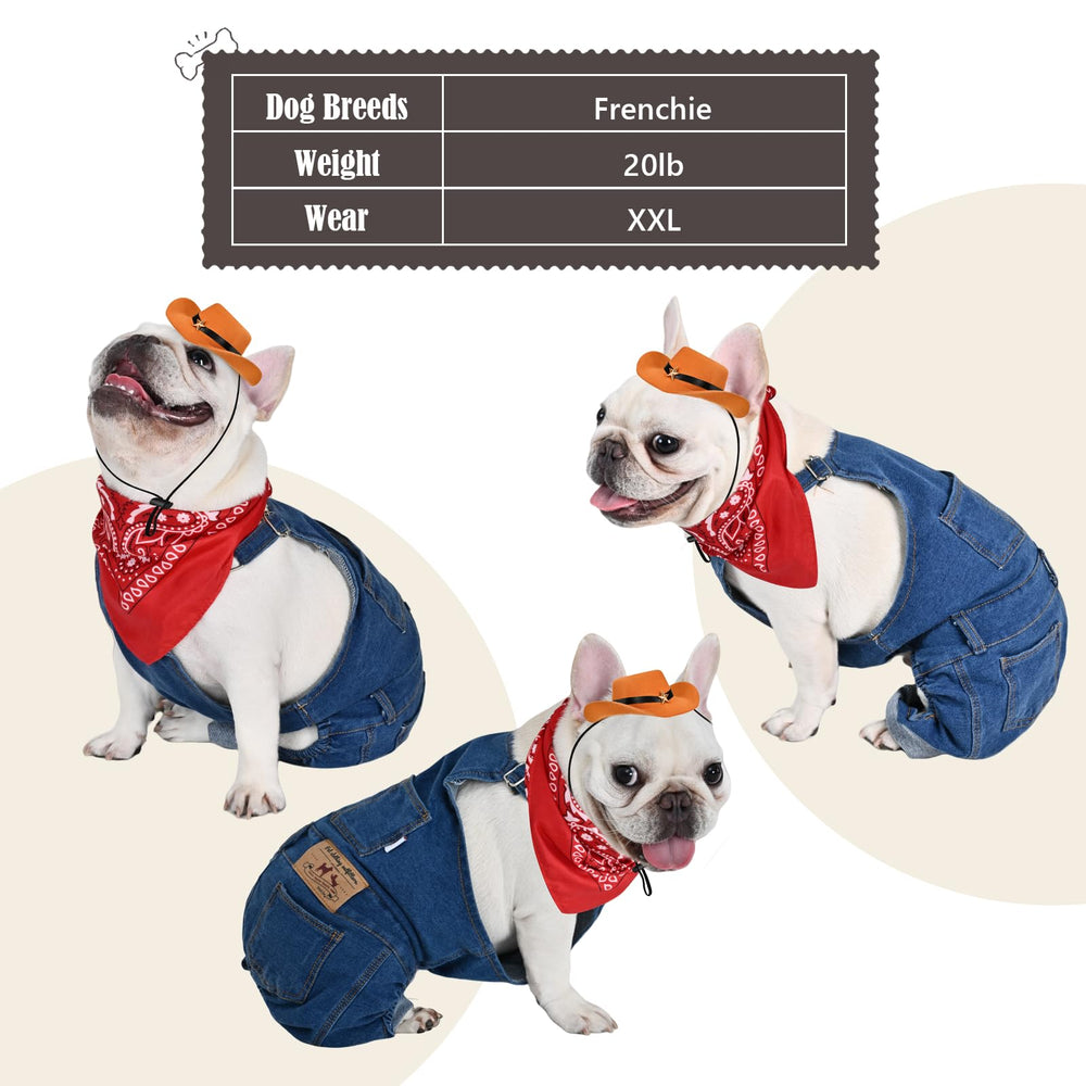 Inanil all-season dog costume is versatile for layers or solo wear.