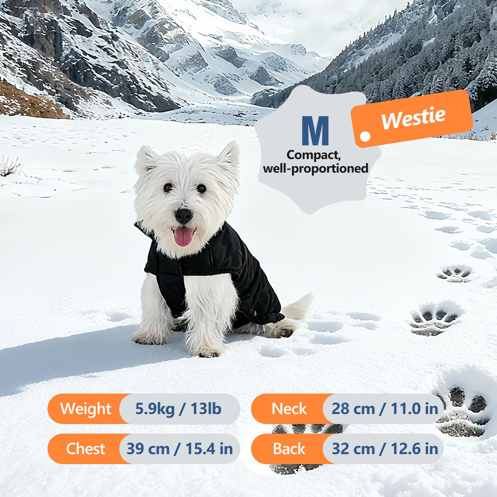 Inanil dog puffer jacket adjustable straps demonstrate secure, comfortable fit
