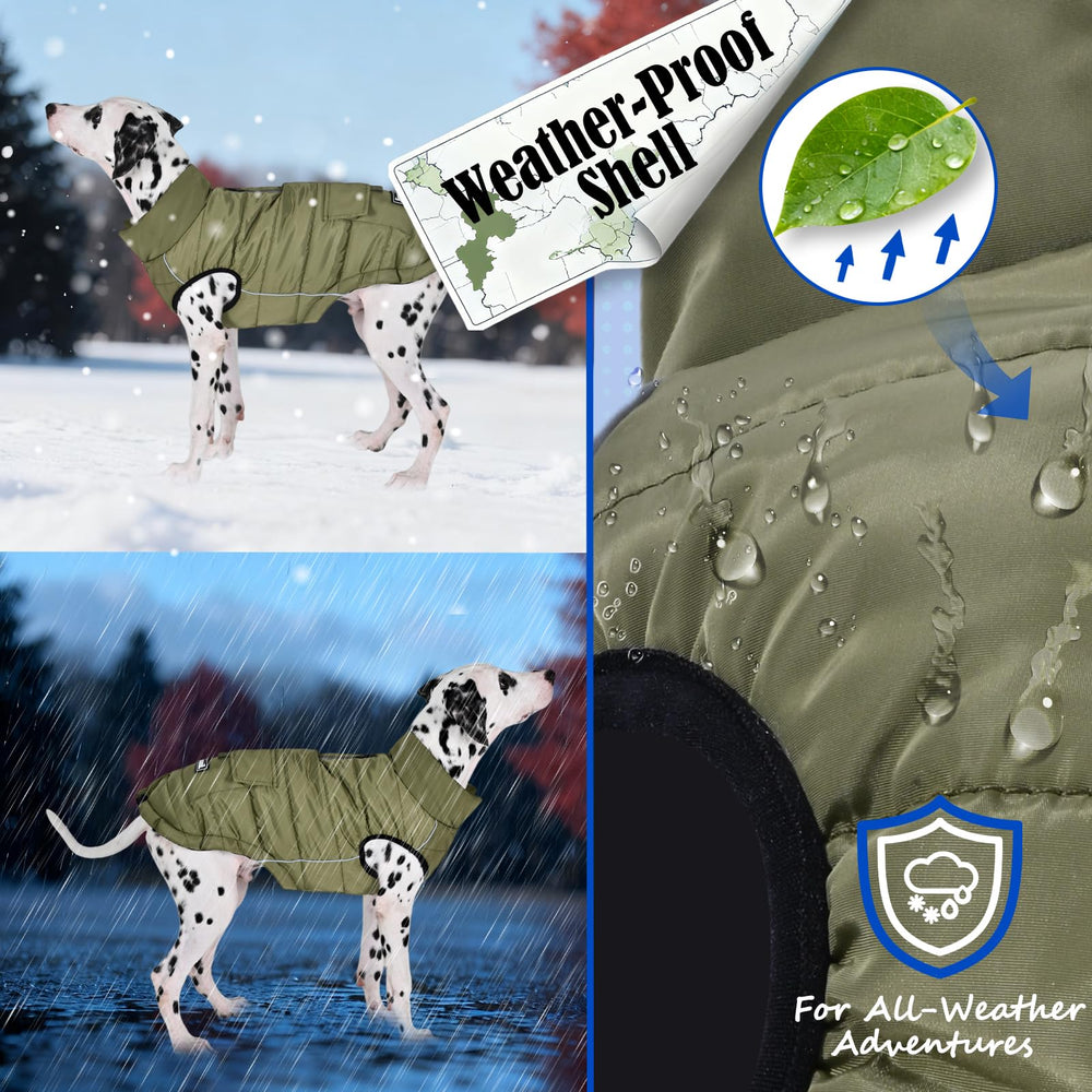 inanil dog winter puffer olive water-repellent shell shields against rain and slush