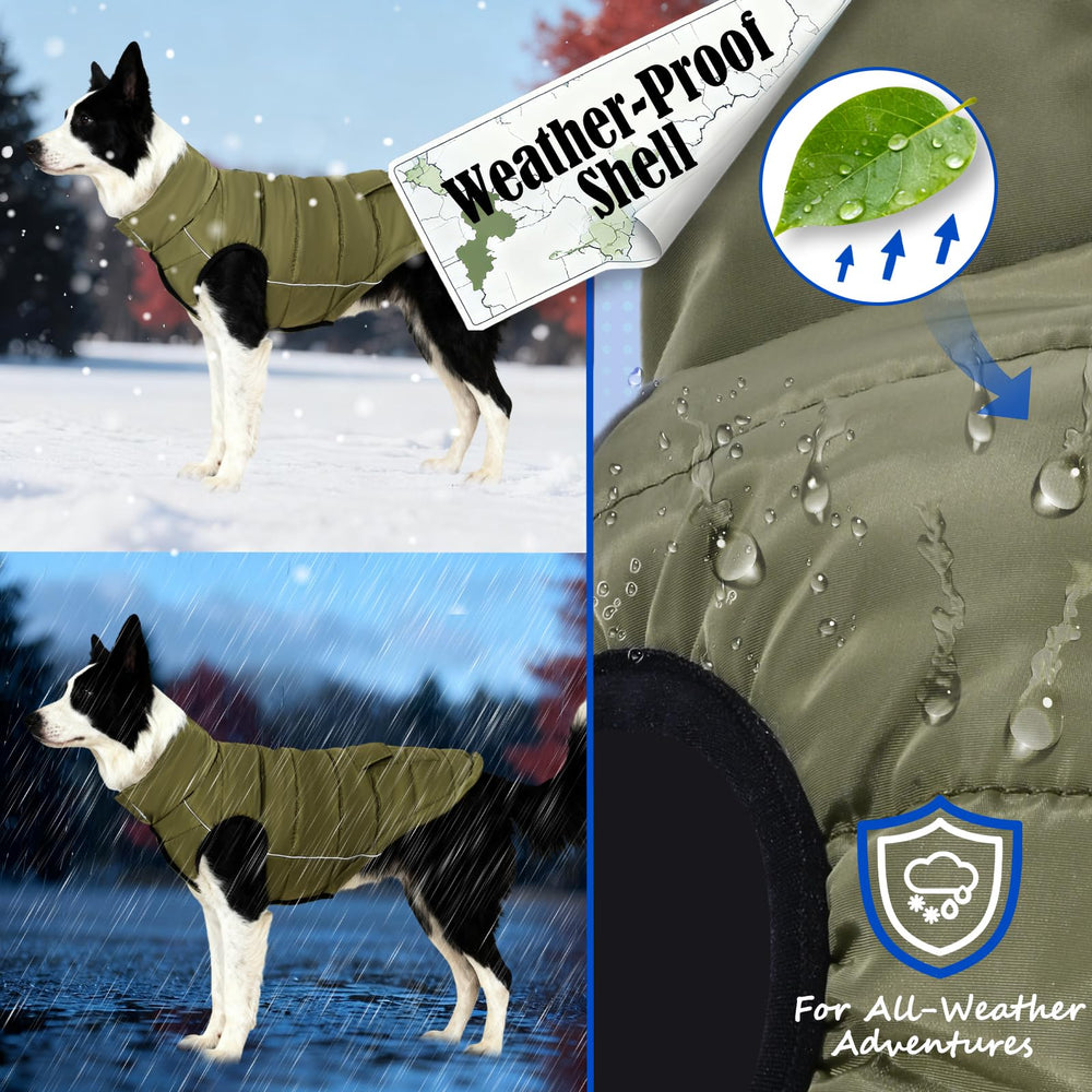 Inanil fleece-lined dog jacket delivers warmth and cozy comfort for chilly days