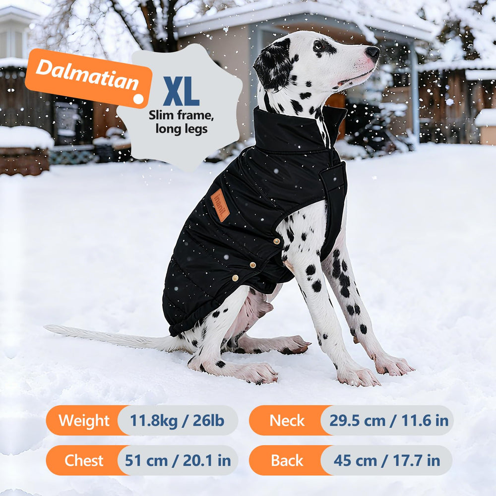Inanil lightweight-dog-coat during a winter walk emphasizes mobility.