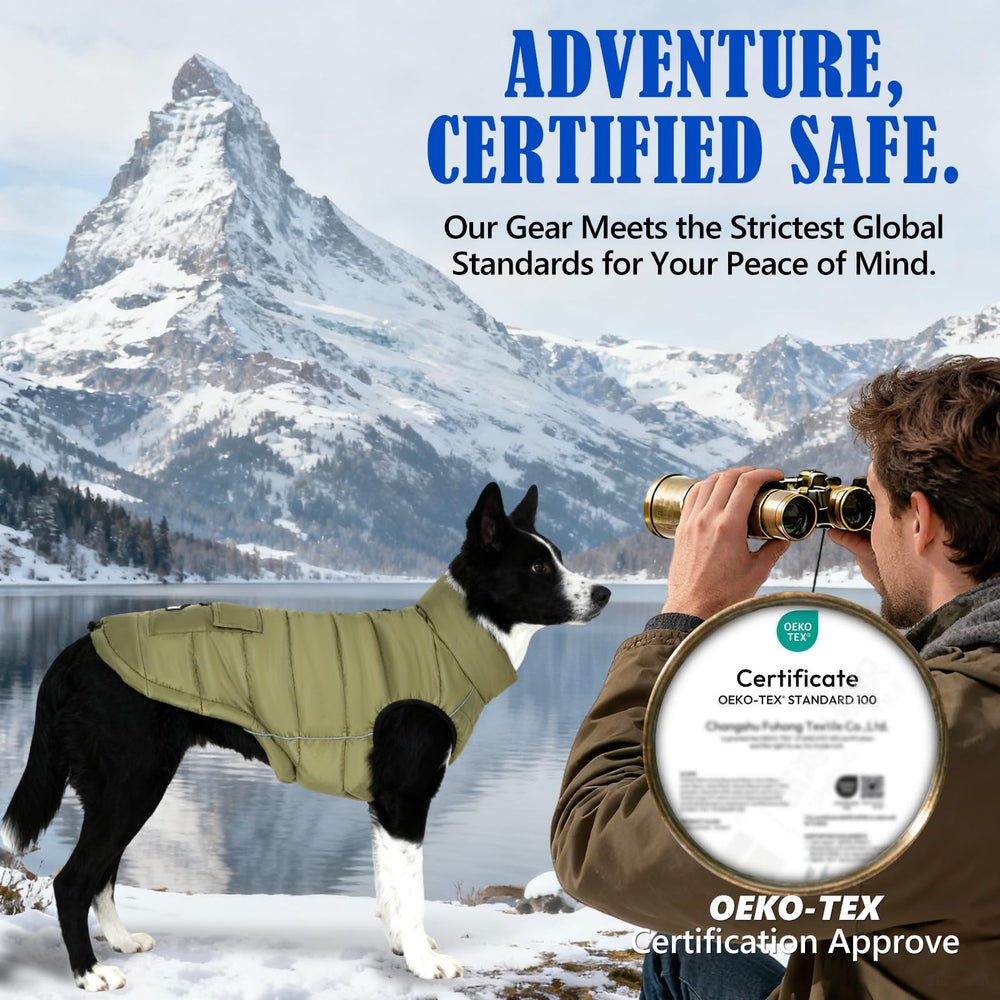 Inanil olive dog coat shown in snow demonstrates practical all-weather protection