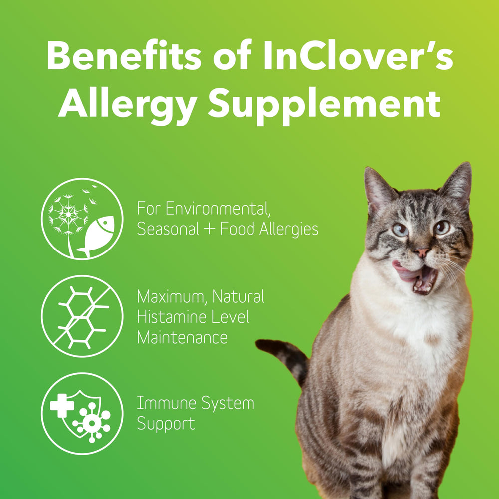 InClover allergy relief powder sprinkled on dog food for easy dosing