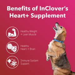 In Clover Heart+ for dogs and cats image highlights cardiovascular and energy support.