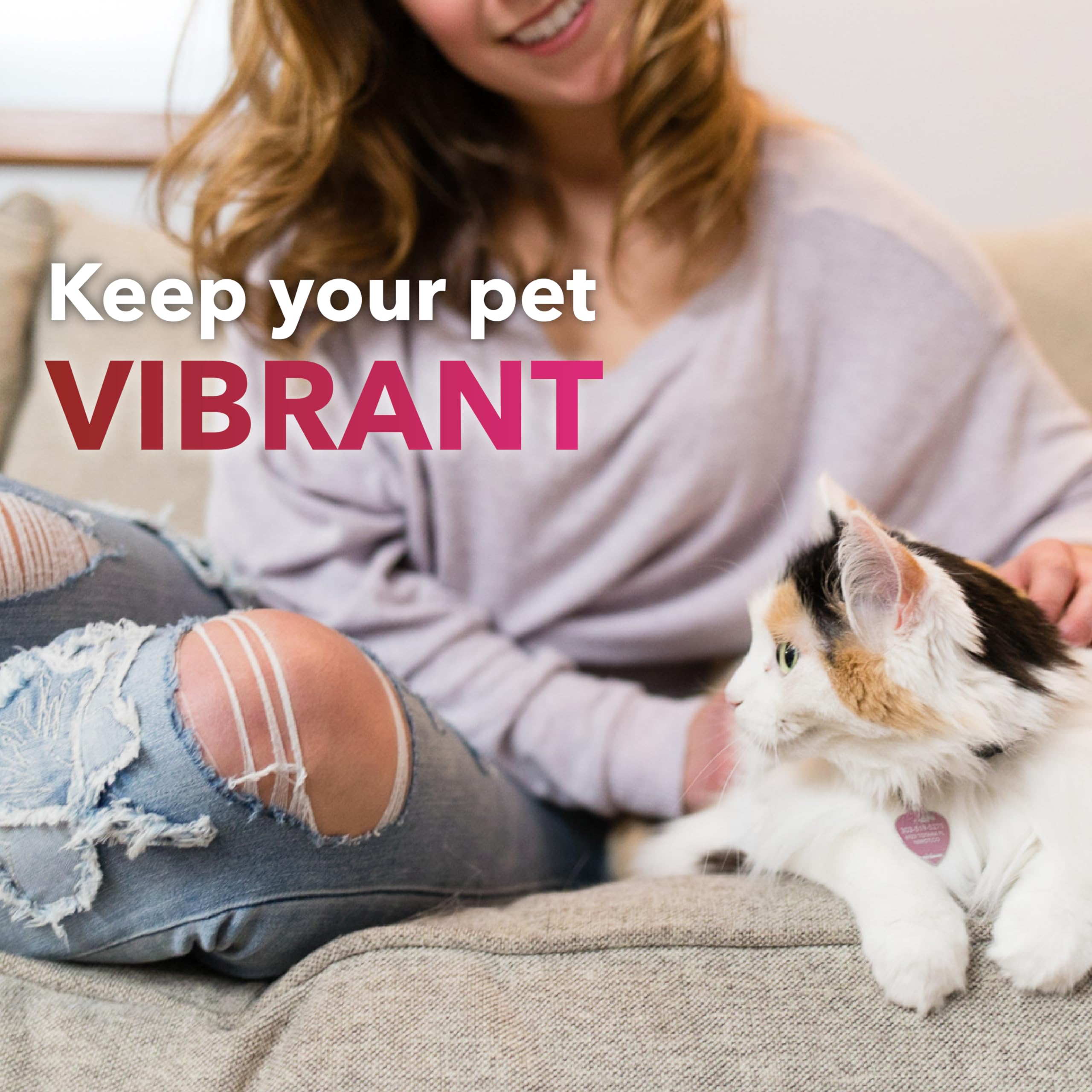 In Clover Heart+ packaging conveys science-backed, trustworthy pet health support.