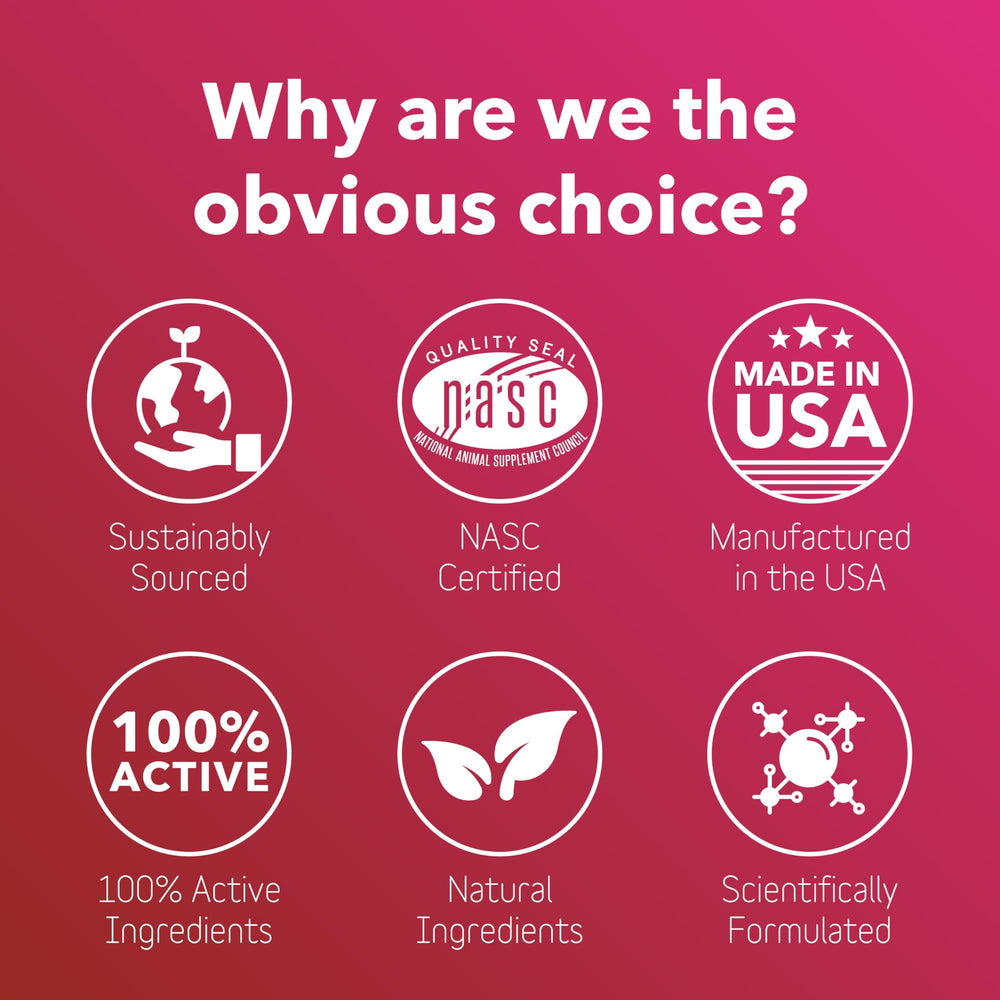 In Clover Heart+ Taurine and L-Carnitine ingredients suggest heart and brain health benefits.