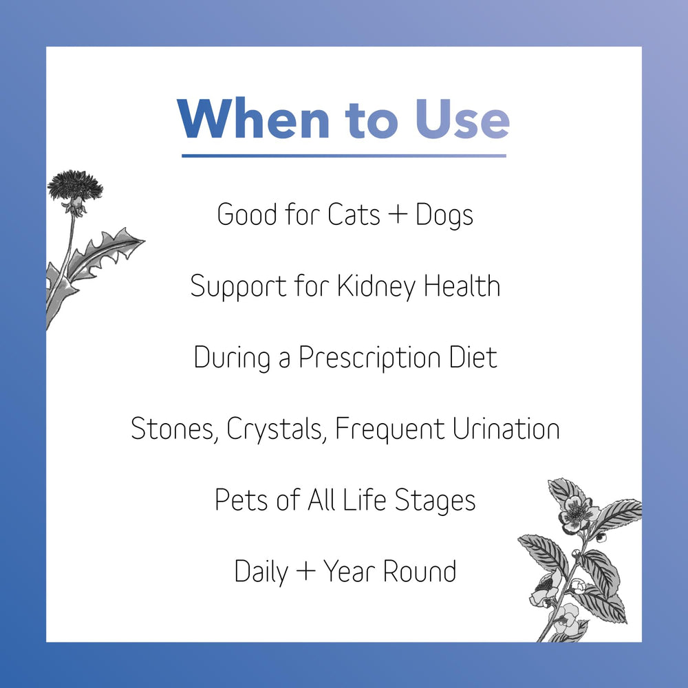InClover Kidney serving on pet food bowl shows pet-friendly palatability
