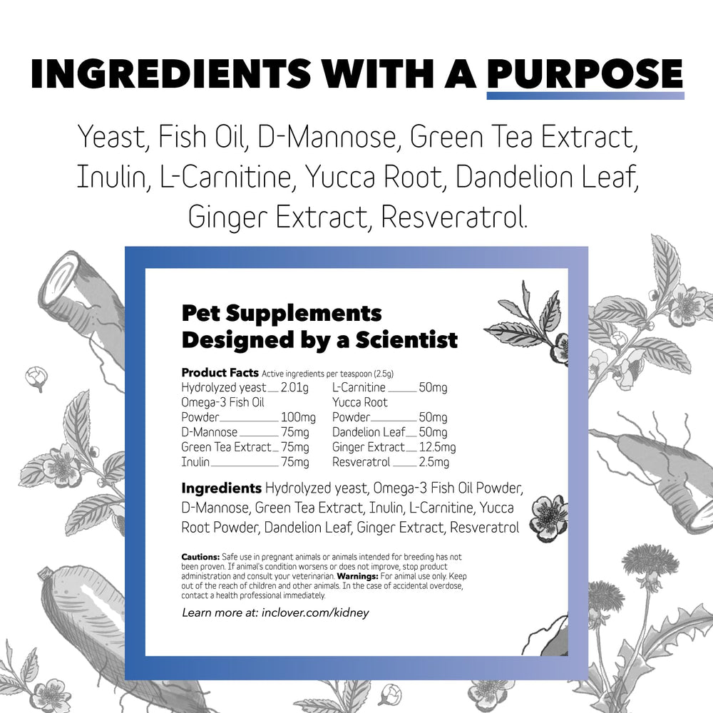 InClover Kidney ingredients highlighting resveratrol and D-mannose for urinary support