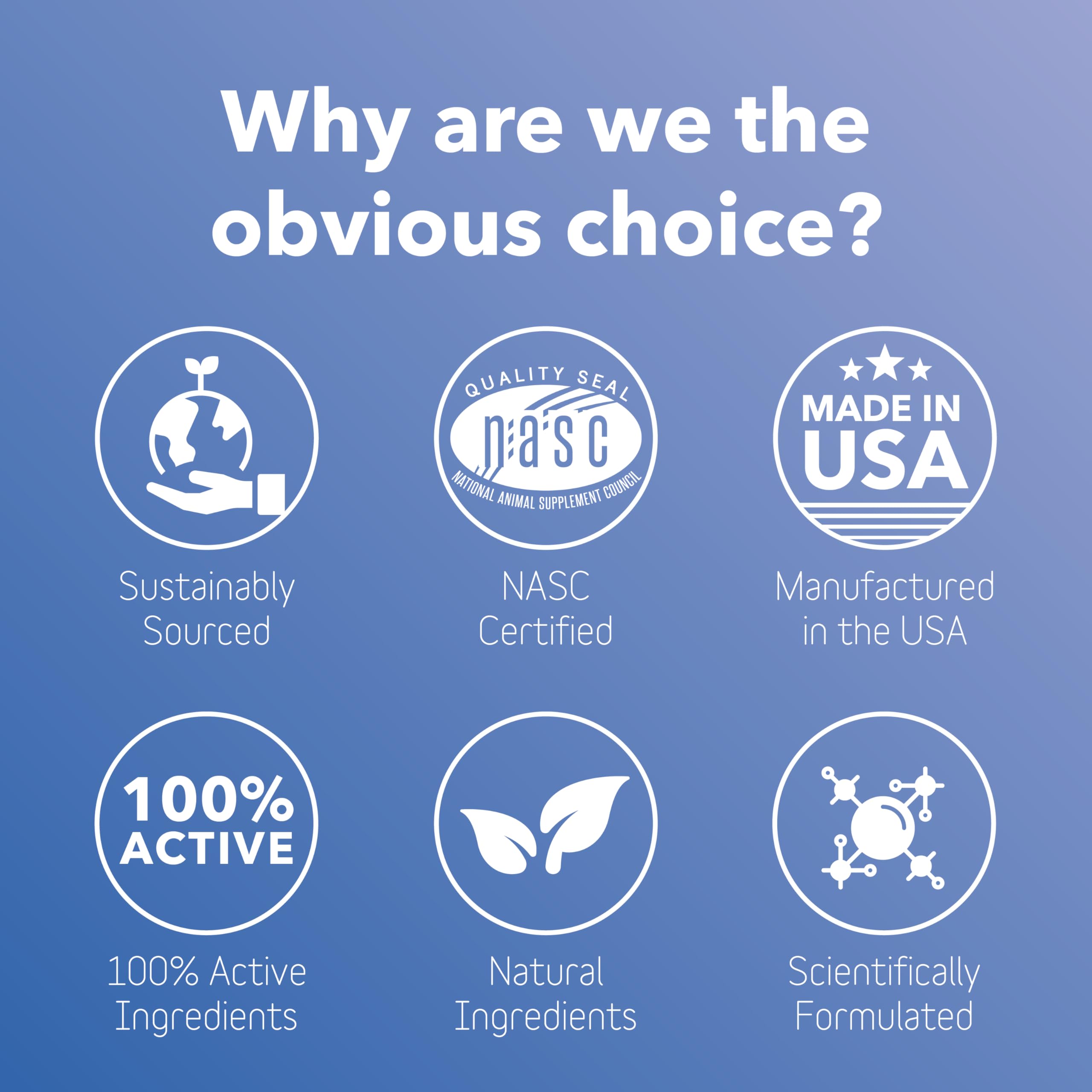 InClover Kidney omega-3 and yucca visuals indicating inflammation balance and gut health