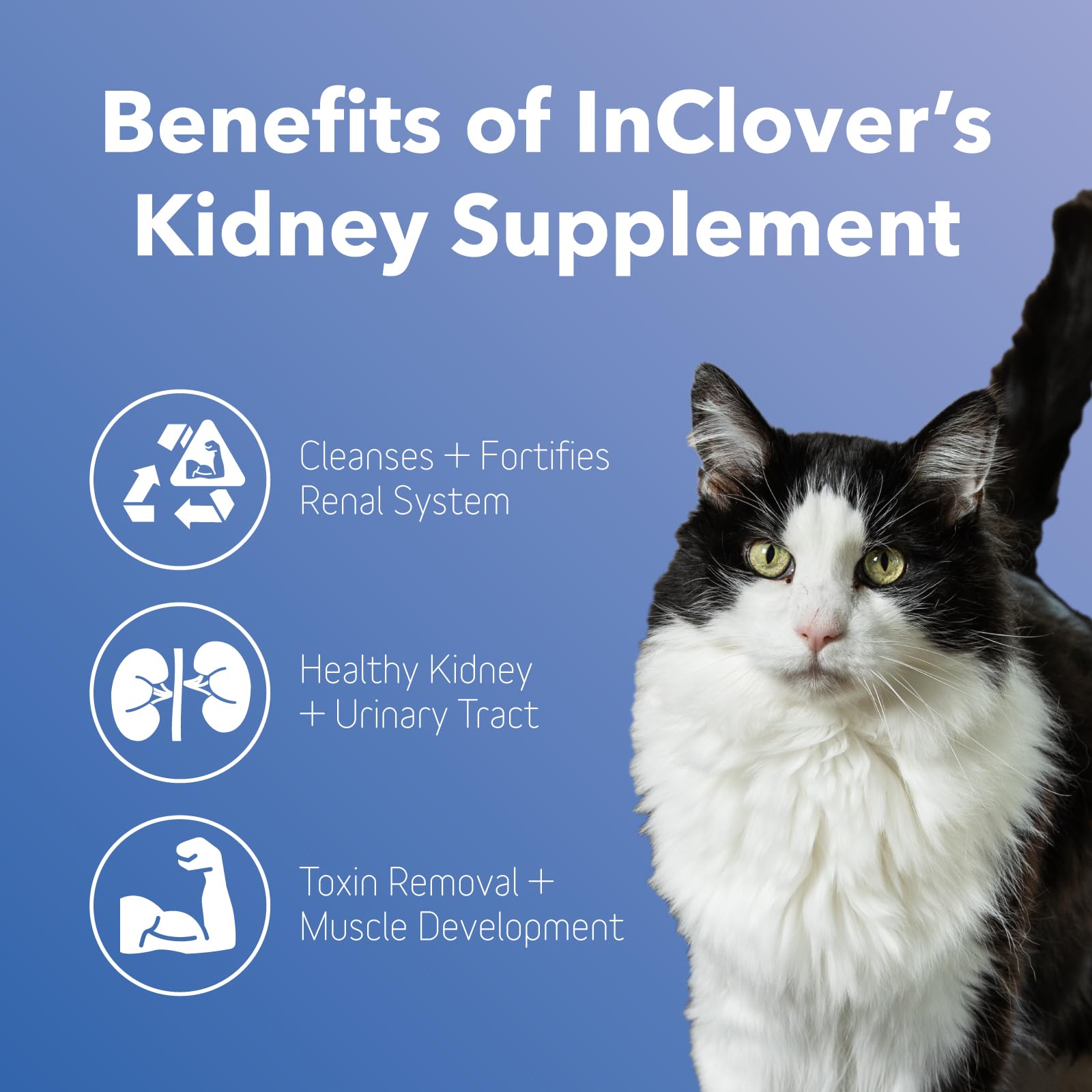 InClover Kidney powder sprinkle-on-food demonstrates simple use with meals