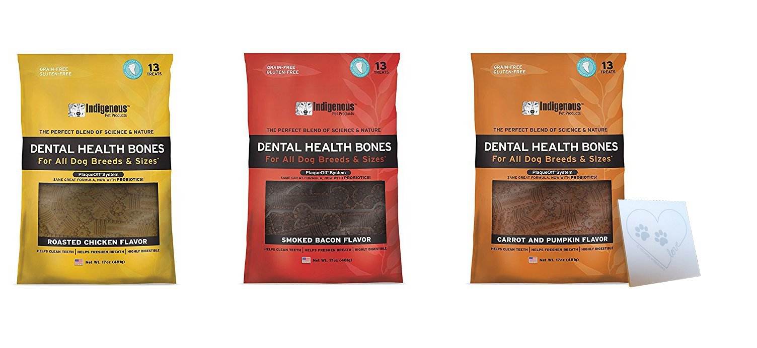Indigenous Dental Health Bones Bacon chew offering a tasty dental care treat for dogs.