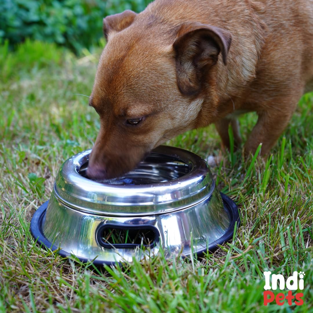 Indipets dish in use with a puppy showing mess-free feeding experience.