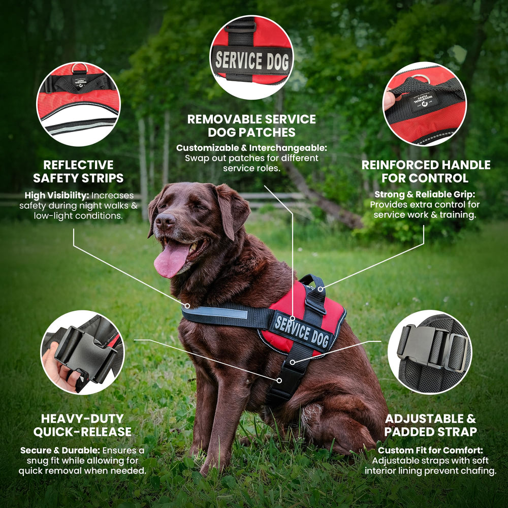 Industrial Puppy emotional-support vest harness back view reveals detachable backpack integration
