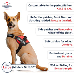 Industrial Puppy vest mesh breathable design keeps dogs cool during active days.