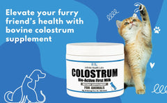 Infinite Health Labs Bio-Active Colostrum tin close-up showing powder texture for everyday vitality