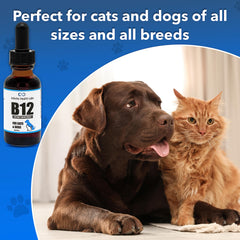 Infinite Health Labs Liquid B-12 dropper application offers easy dosing.