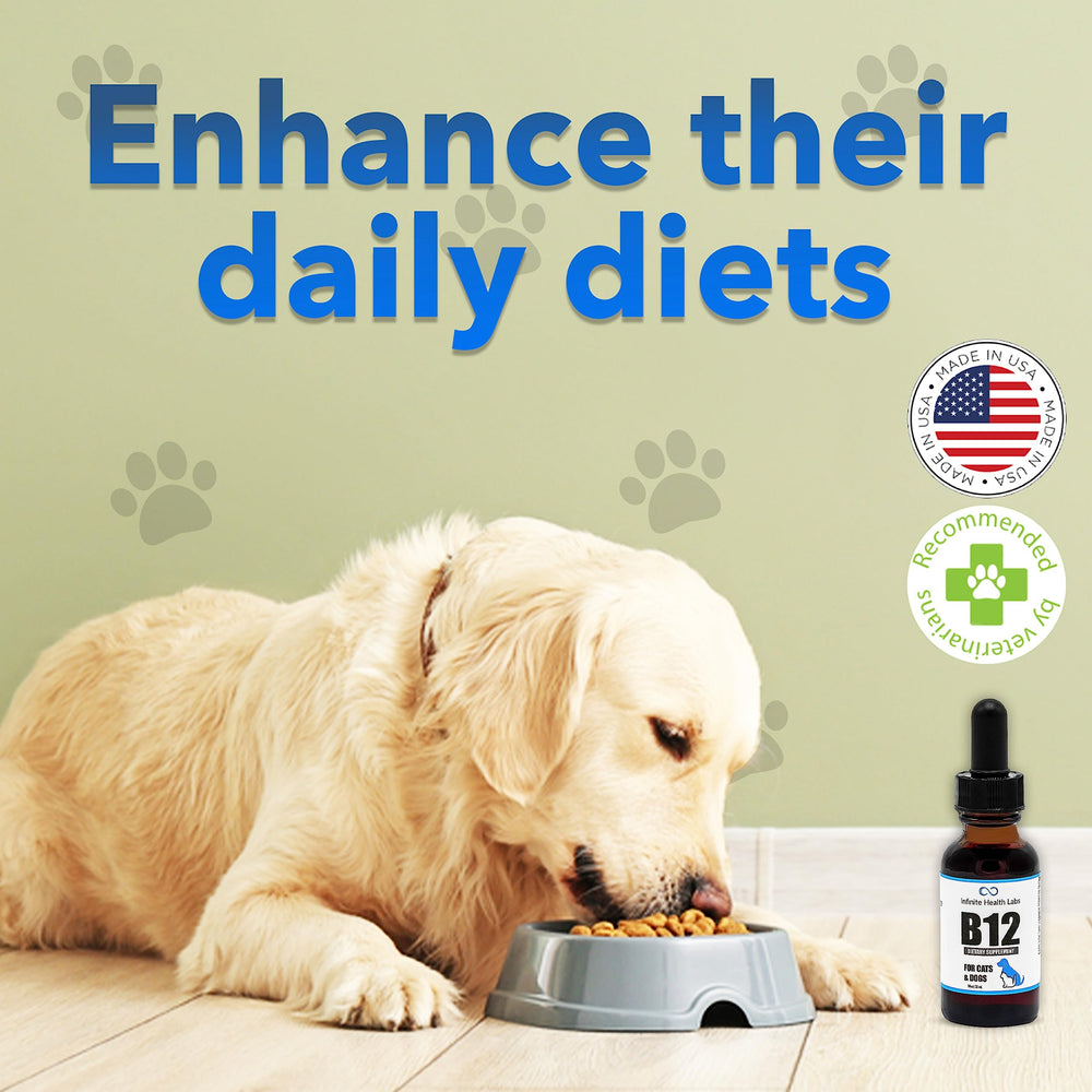 Infinite Health Labs Liquid B-12 on shelf displays USA-made product quality.