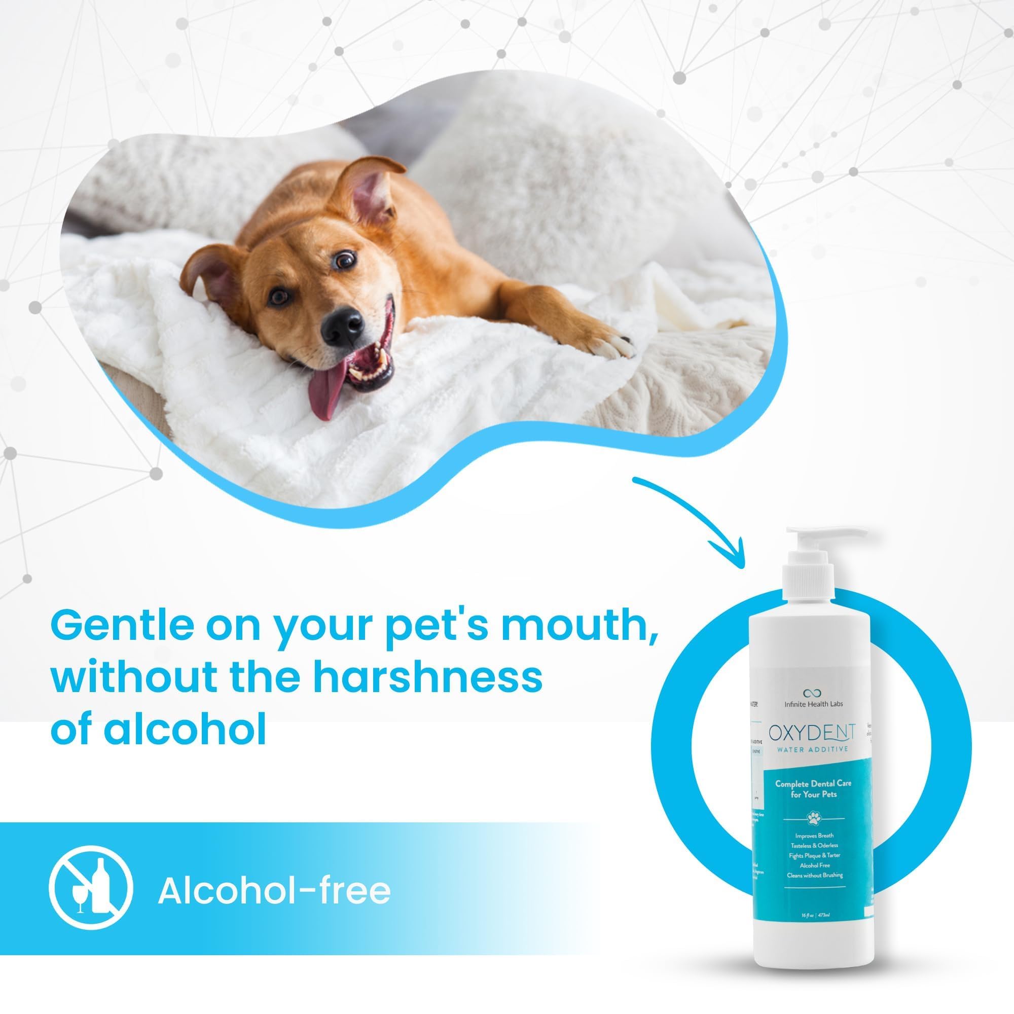 Infinite Health Labs Oxydent bottle and label highlight chemical-free formula.