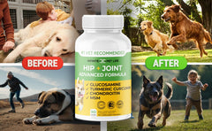 Infinite Pet Supplements hip-joint dog chews bottle on counter for convenient dosing