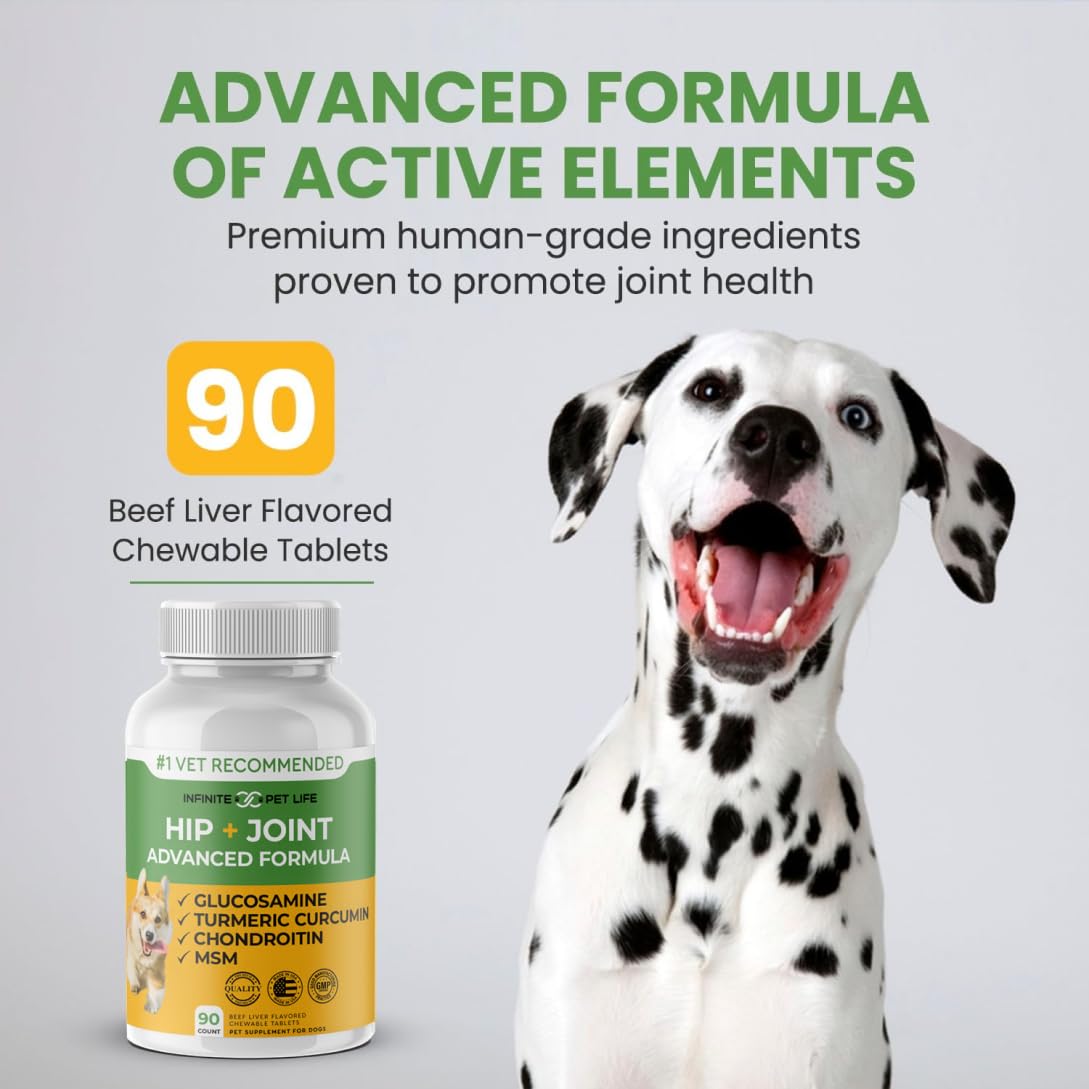Calm dog resting, suggesting anxiety support from joint supplement
