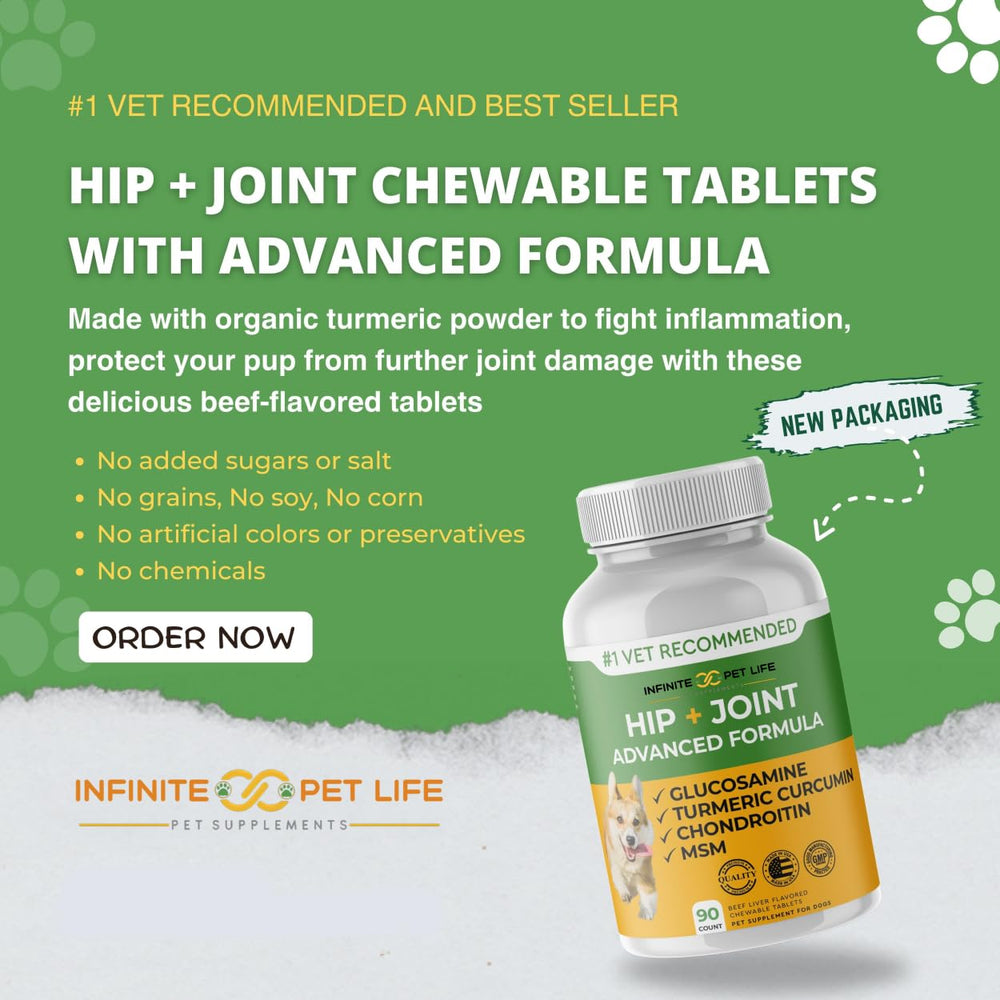 Dog runs freely after using Infinite Pet Supplements joint chews