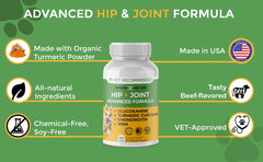 Ingredient close-up shows glucosamine, chondroitin, MSM, turmeric in Infinite Pet Supplements