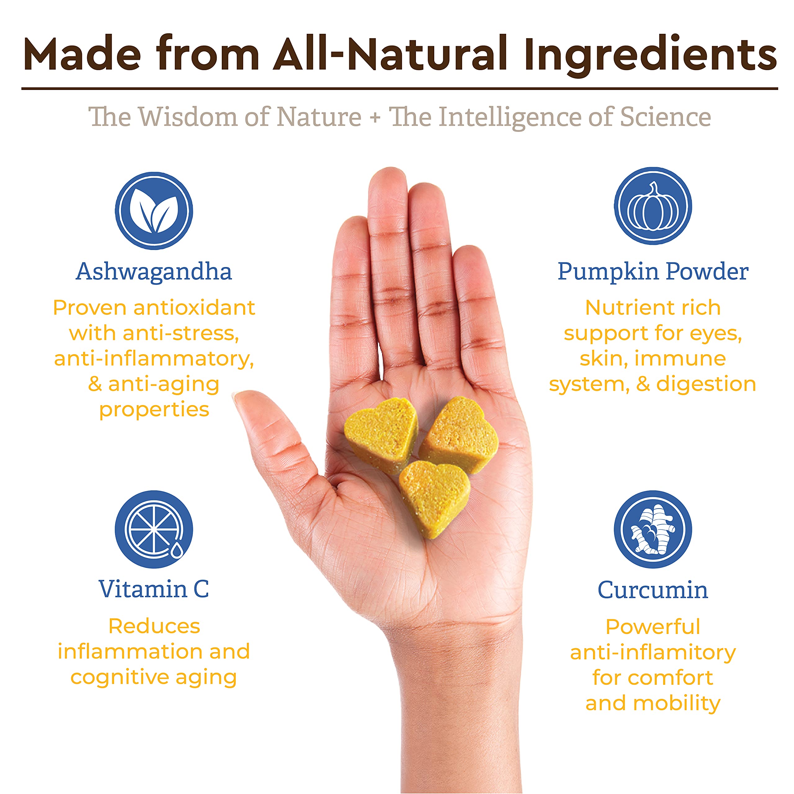 Infinite Pet Supplements Pumpkin Powder ingredient closeup emphasizes wholesome, fiber-rich nutrition.