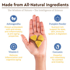 Infinite Pet Supplements Pumpkin Powder ingredient closeup emphasizes wholesome, fiber-rich nutrition.