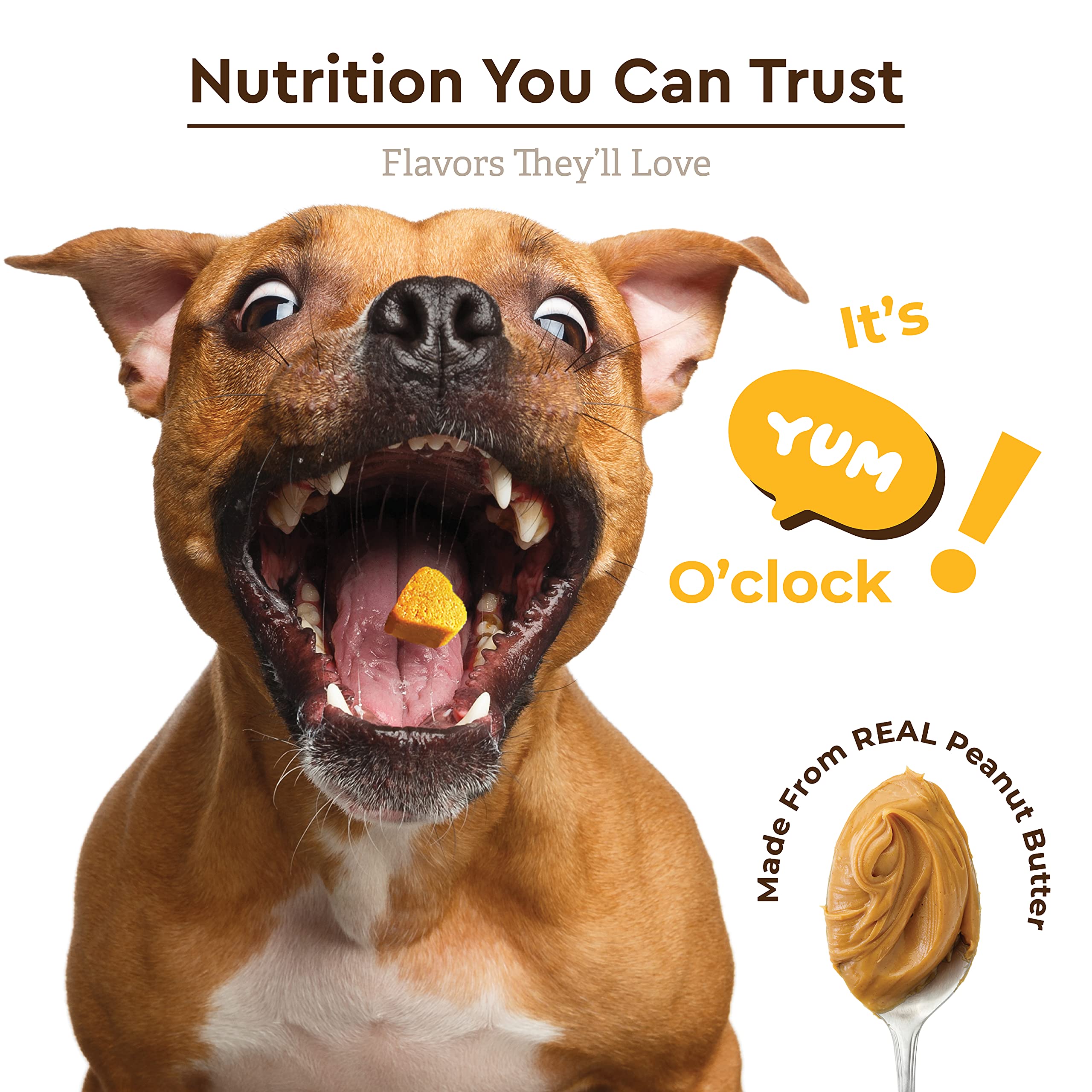 Infinite Pet Supplements Soft chews in spoon-open container illustrate easy daily dosage.