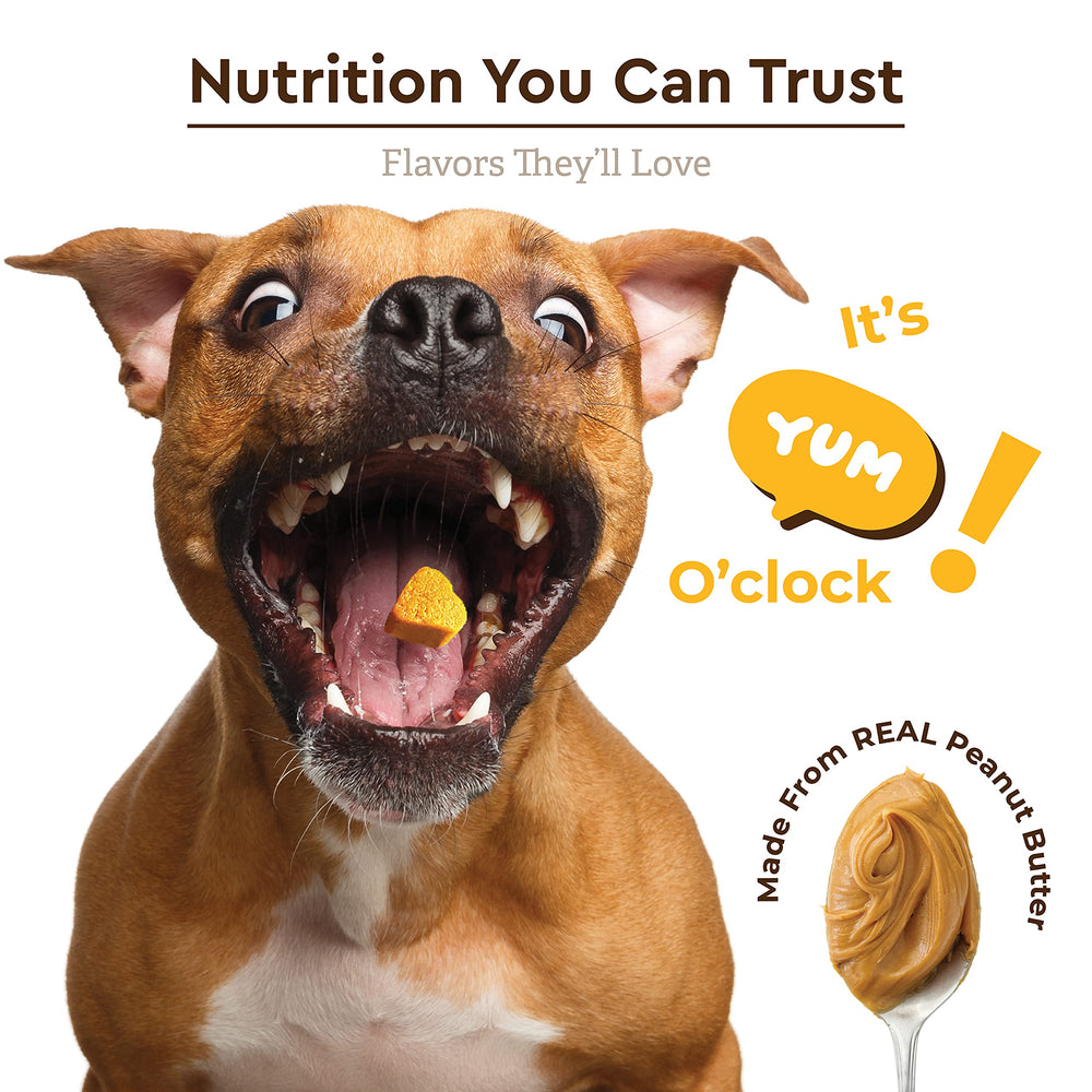 Infinite Pet Supplements Soft chews in spoon-open container illustrate easy daily dosage.