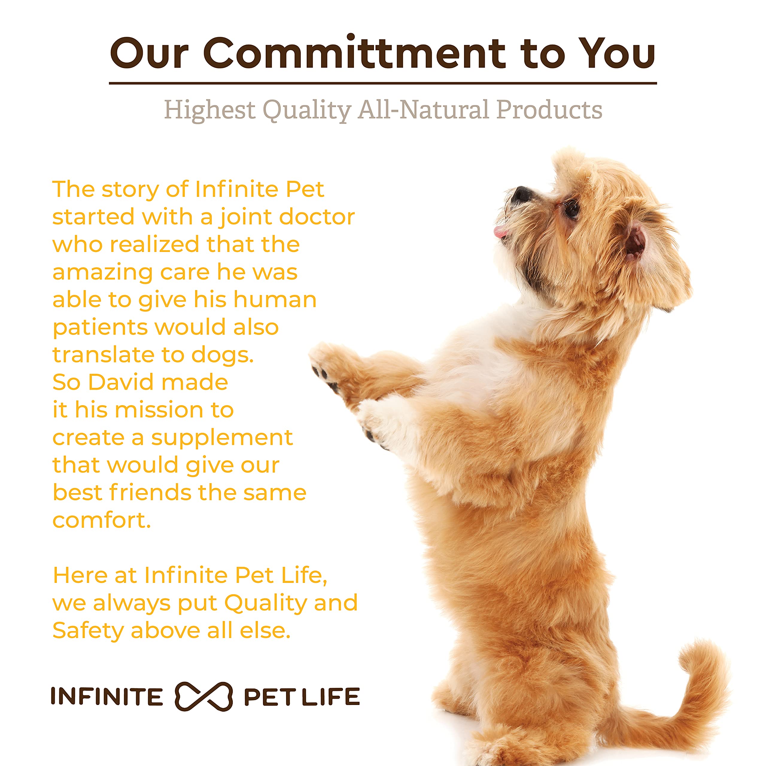 Infinite Pet Supplements USA-made GMP stamp closeup reinforces premium quality and safety.