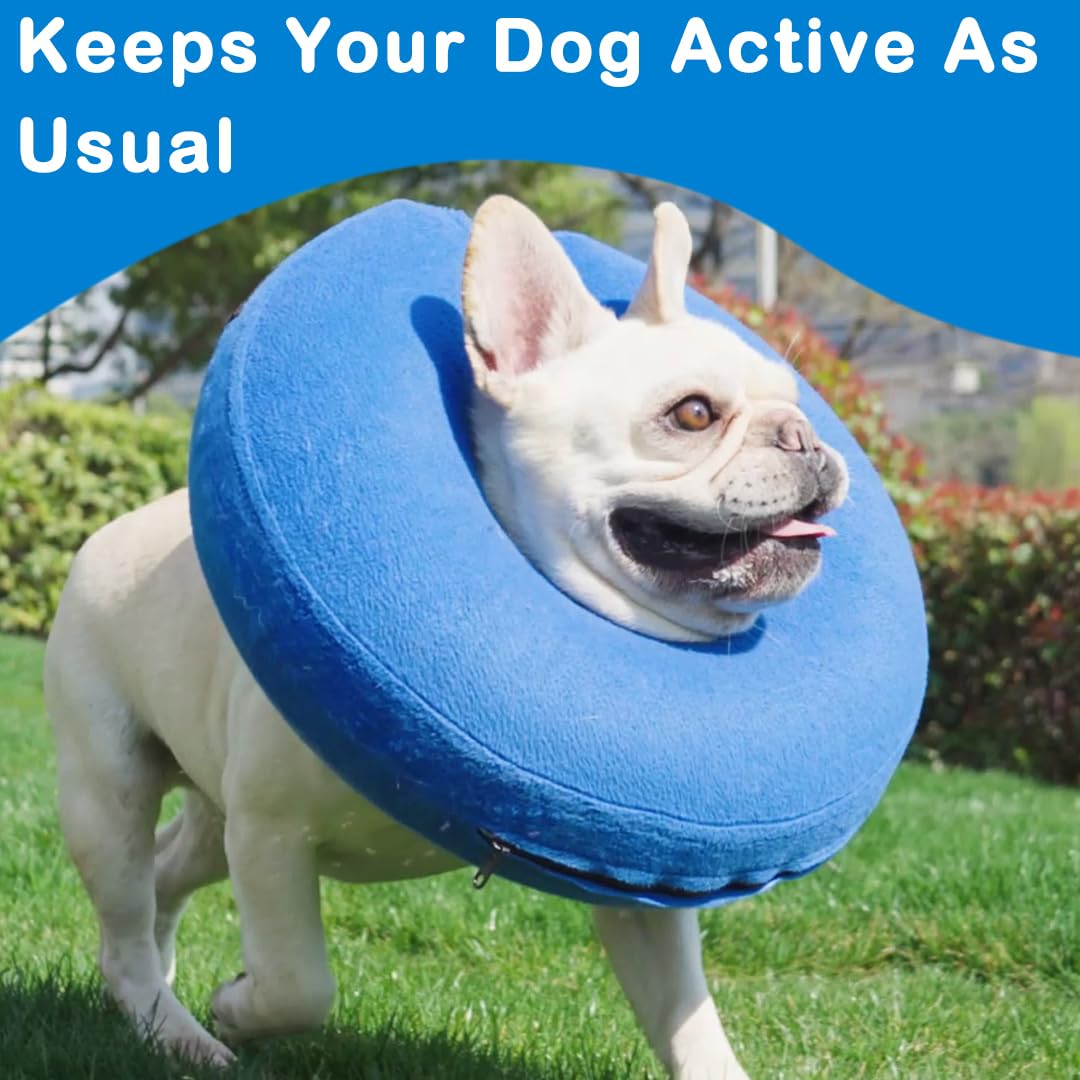 Infisu inflatable dog cone collar blue folded for compact travel and easy storage.