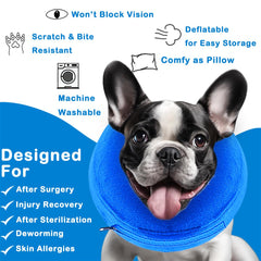 Infisu inflatable dog cone collar blue worn on dog shows freedom to move and monitor healing.